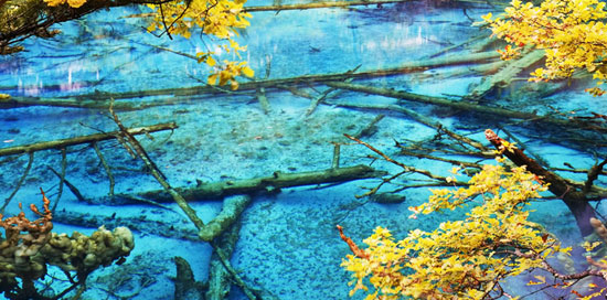 世界遺産・九寨溝の青く透き通った池水