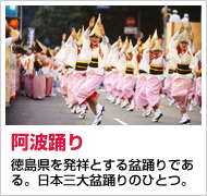 徳島県を発祥とする盆踊りである。日本三大盆踊りのひとつ。