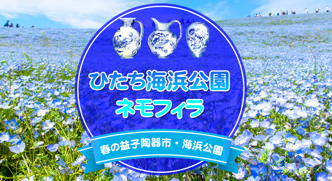 ひたち海浜公園ネモフィラ