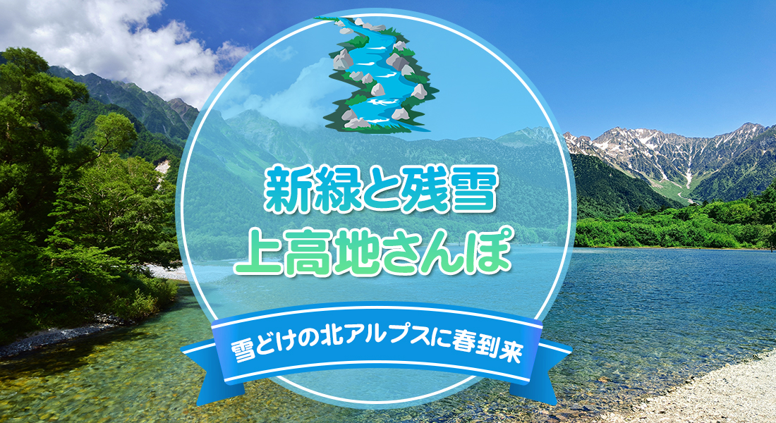 新緑と残雪上高地さんぽ