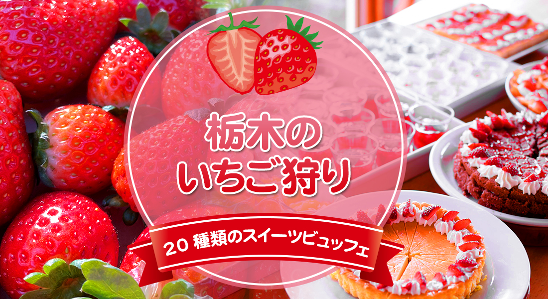 栃木のいちご狩り