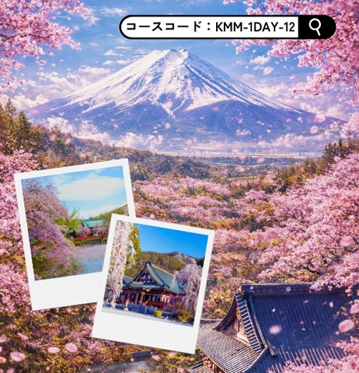 富士山麓さくら紀行