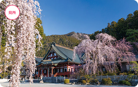 身延山久遠寺