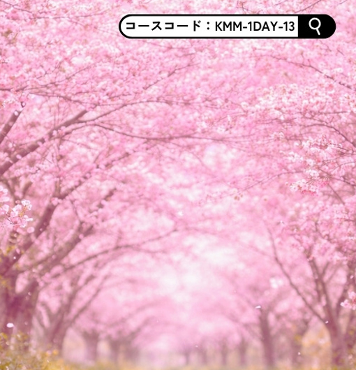 大平山・桜のトンネル と 蔵の街とちぎ