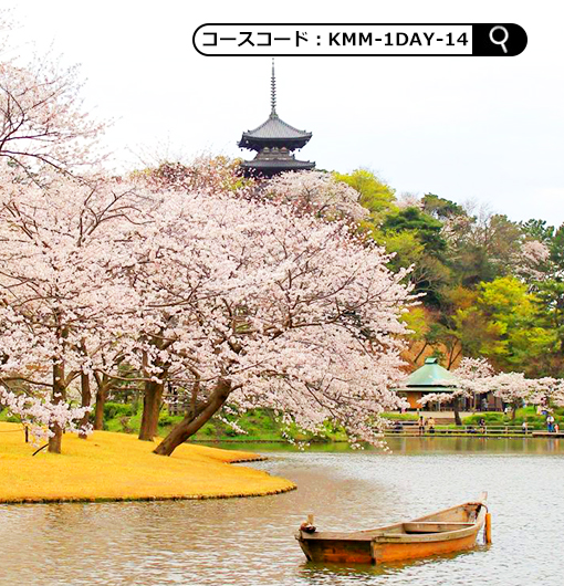 段葛の桜 と 桜咲く横浜三渓園