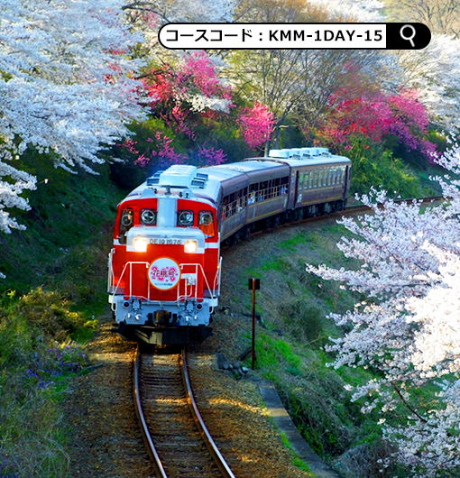 ピンクに染まる花桃街道の旅