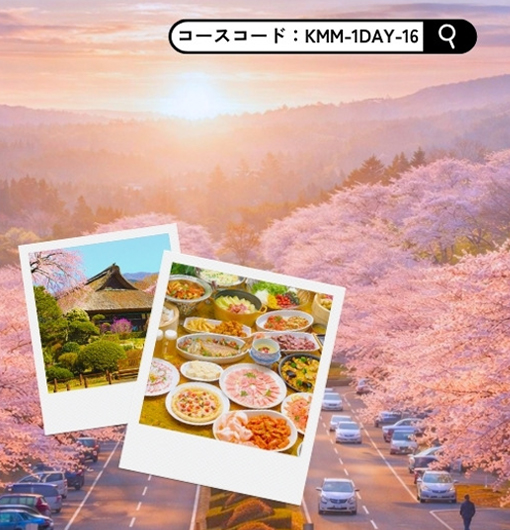 樹齢140年のしだれ桜が咲く秩父宮記念公園