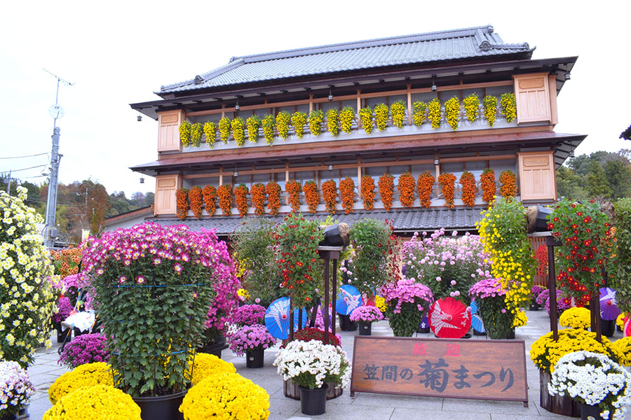 茨城笠間の菊まつりの様子