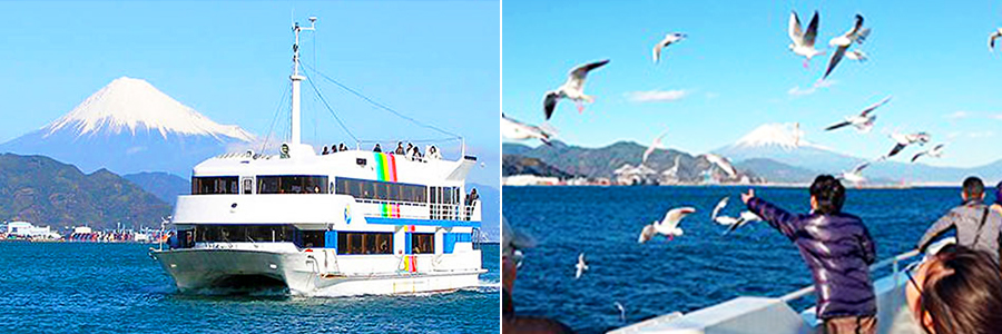 絶景の富士山パノラマビュー『三保松原ミニクルーズ』