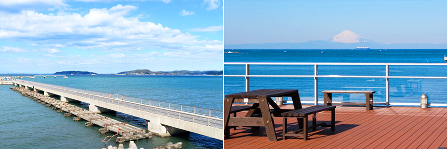館山湾