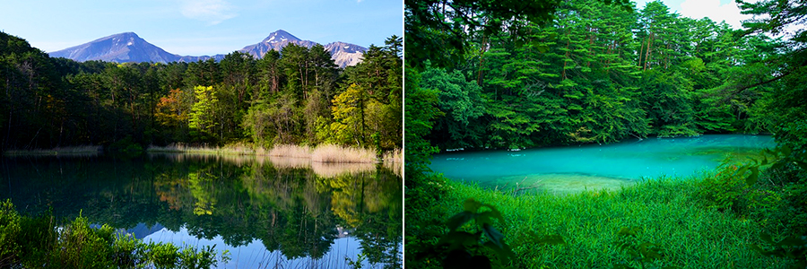 神秘の湖沼群「五色沼」