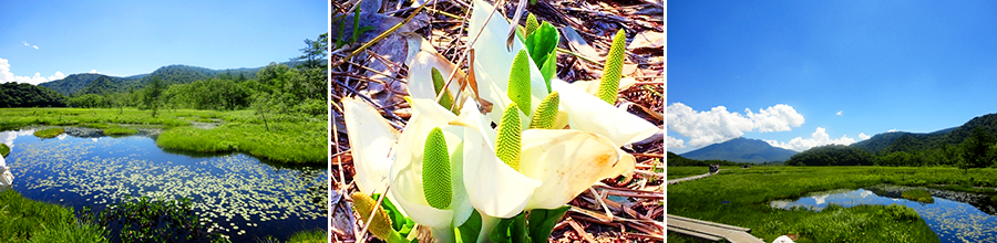 尾瀬沼トレッキング