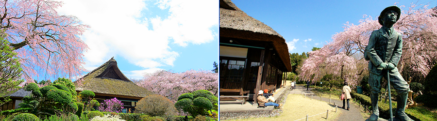 秩父宮記念公園