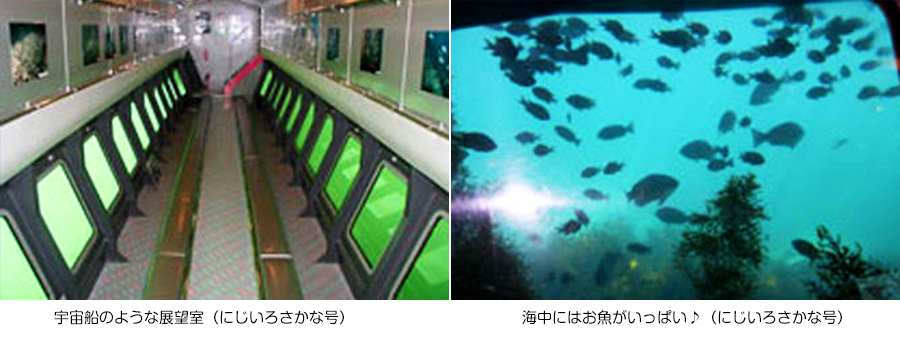 水中観光船「にじいろさかな号」について