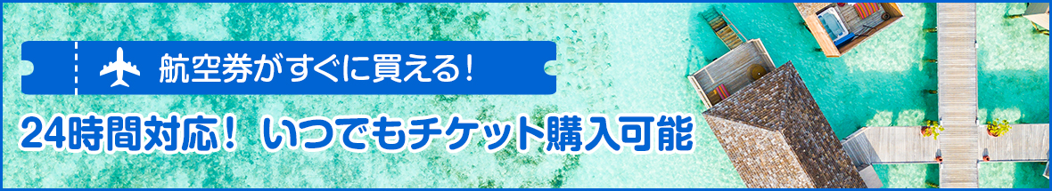 スカイトラベル