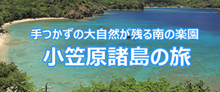 小笠原諸島の旅