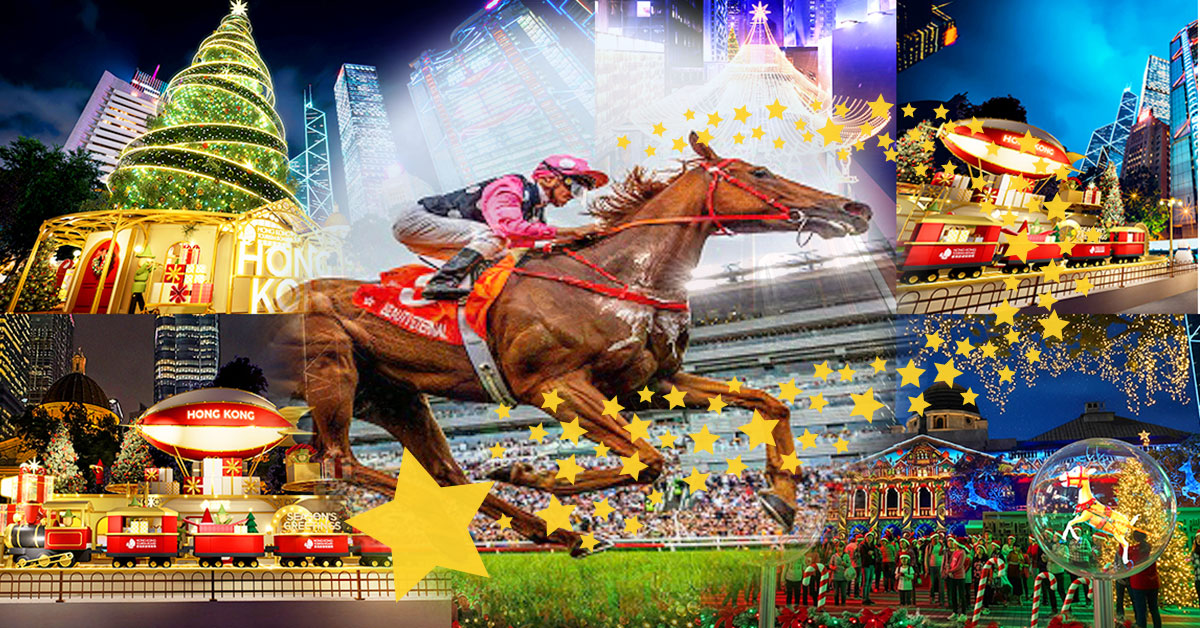 香港競馬観戦ツアー｜シャティン競馬場で観戦｜カモメツーリスト