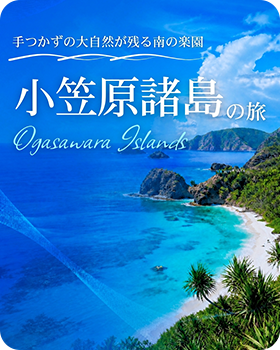 小笠原諸島の旅