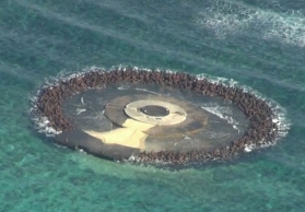 東京都沖ノ鳥島