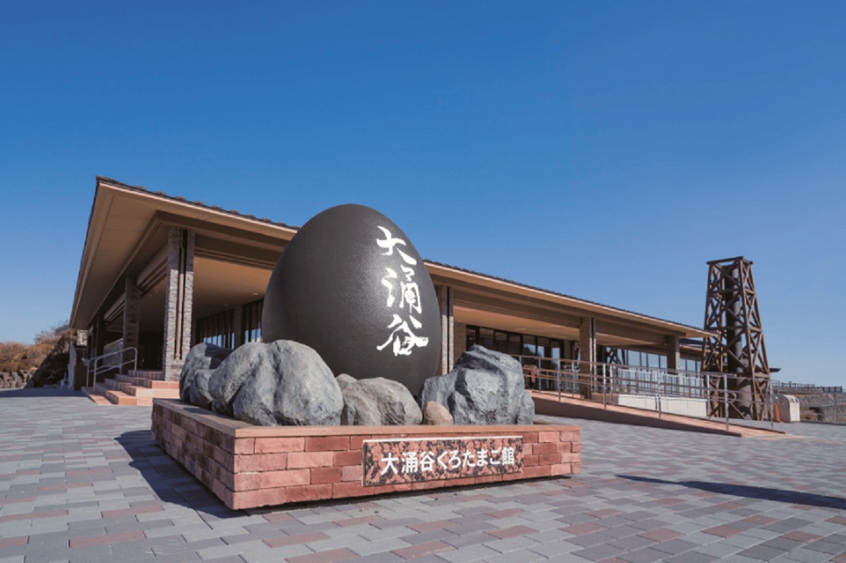 Shizuoka Surfing + Hakone Onsen