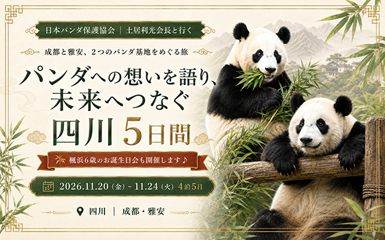 【成田発】土居会長と行く!パンダへの想いを語り、未来へつなぐ四川5日間