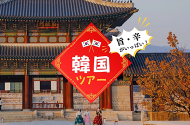 旨・辛がいっぱい！　韓国ツアー特集