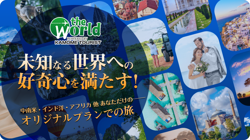 THE WORLD