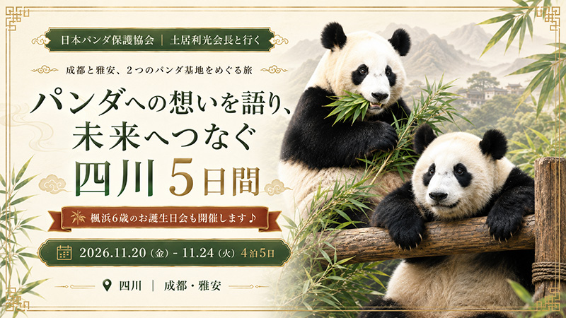 【成田発】土居会長と行く!パンダへの想いを語り、未来へつなぐ四川5日間