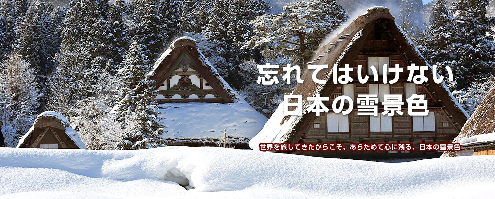 忘れてはいけない、日本の雪景色｜冬の宿泊バスツアー特集