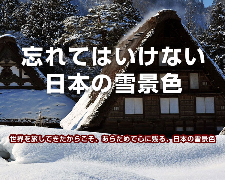 忘れてはいけない、日本の雪景色｜冬の宿泊バスツアー特集