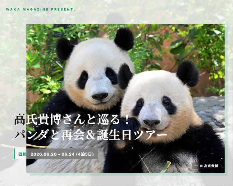 高氏 貴博さんと巡る！四川パンダ再会＆誕生日ツアー