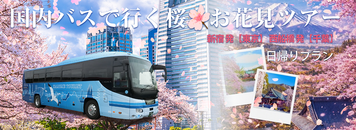 国内バスで行く桜・お花見ツアー