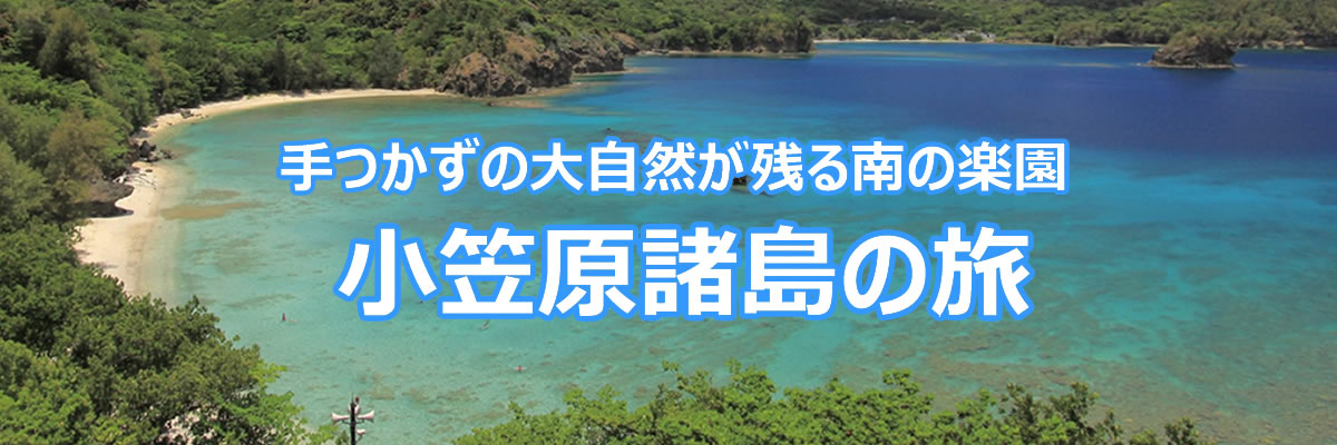 小笠原諸島の旅