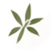 Bamboo Icon