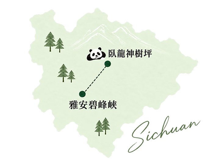 四川省の臥龍神樹坪と雅安碧峰峡の位置を示す概略図