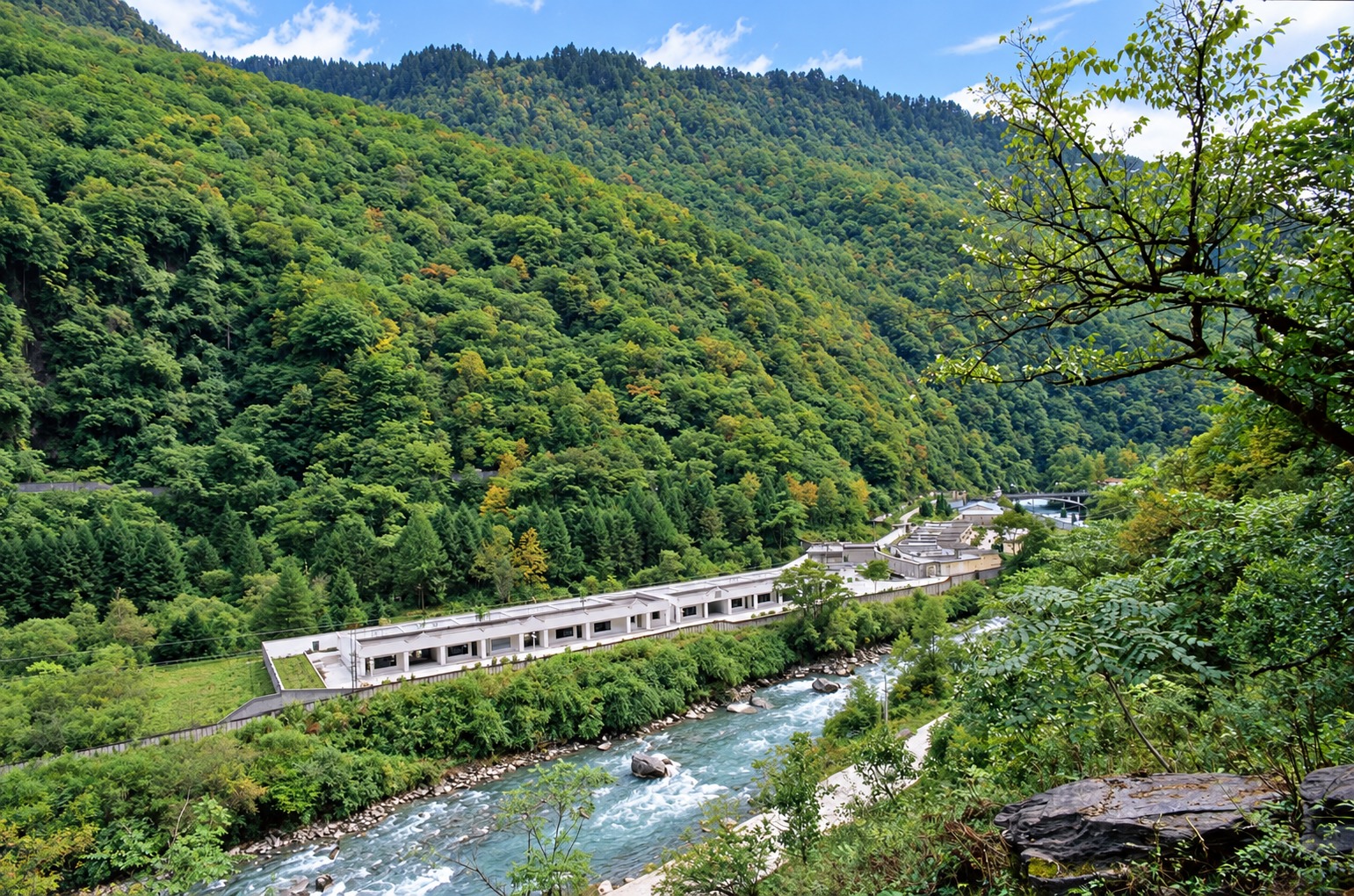山々と渓流に囲まれた臥龍神樹坪パンダ基地の風景