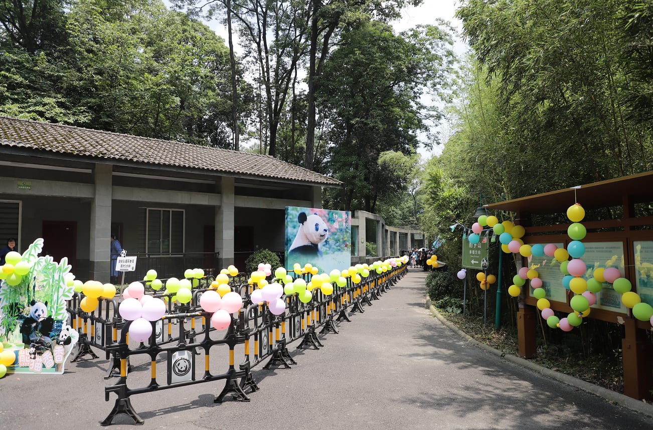 雅安碧峰峡パンダ基地の園内風景