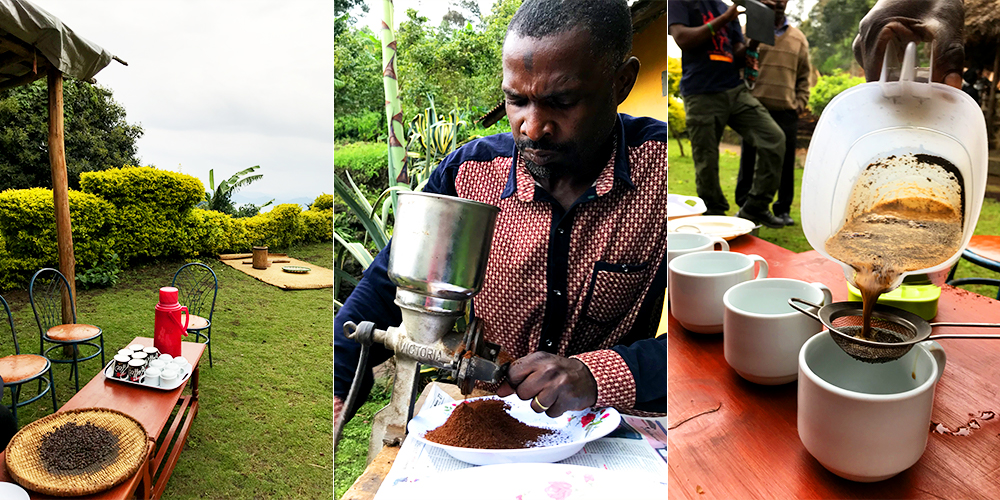 ゴリラ・トラッキング