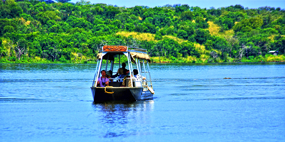 ゴリラ・トラッキング